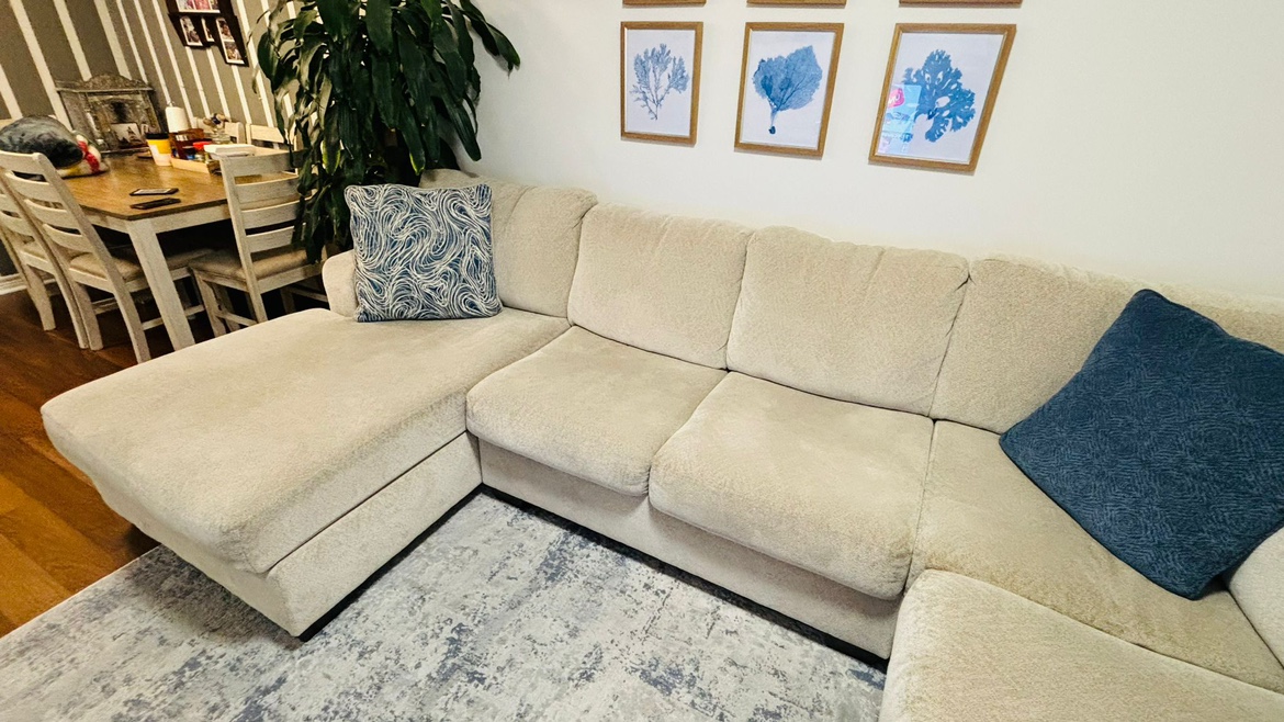 Beautiful C-section sofa for sale - photo 3
