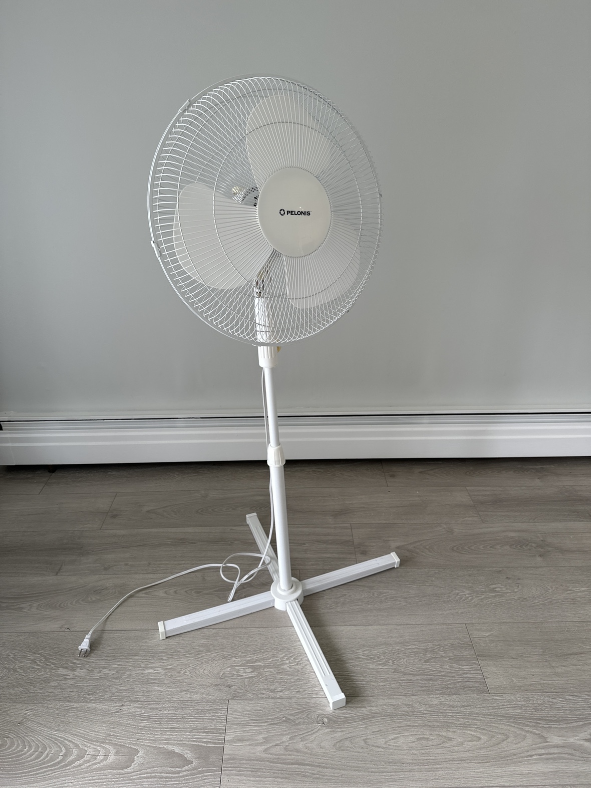 Fan