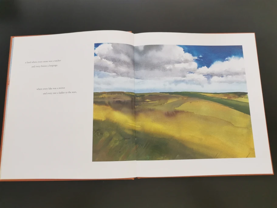 Old Turtle & the Broken Truth Book image indicator(2)