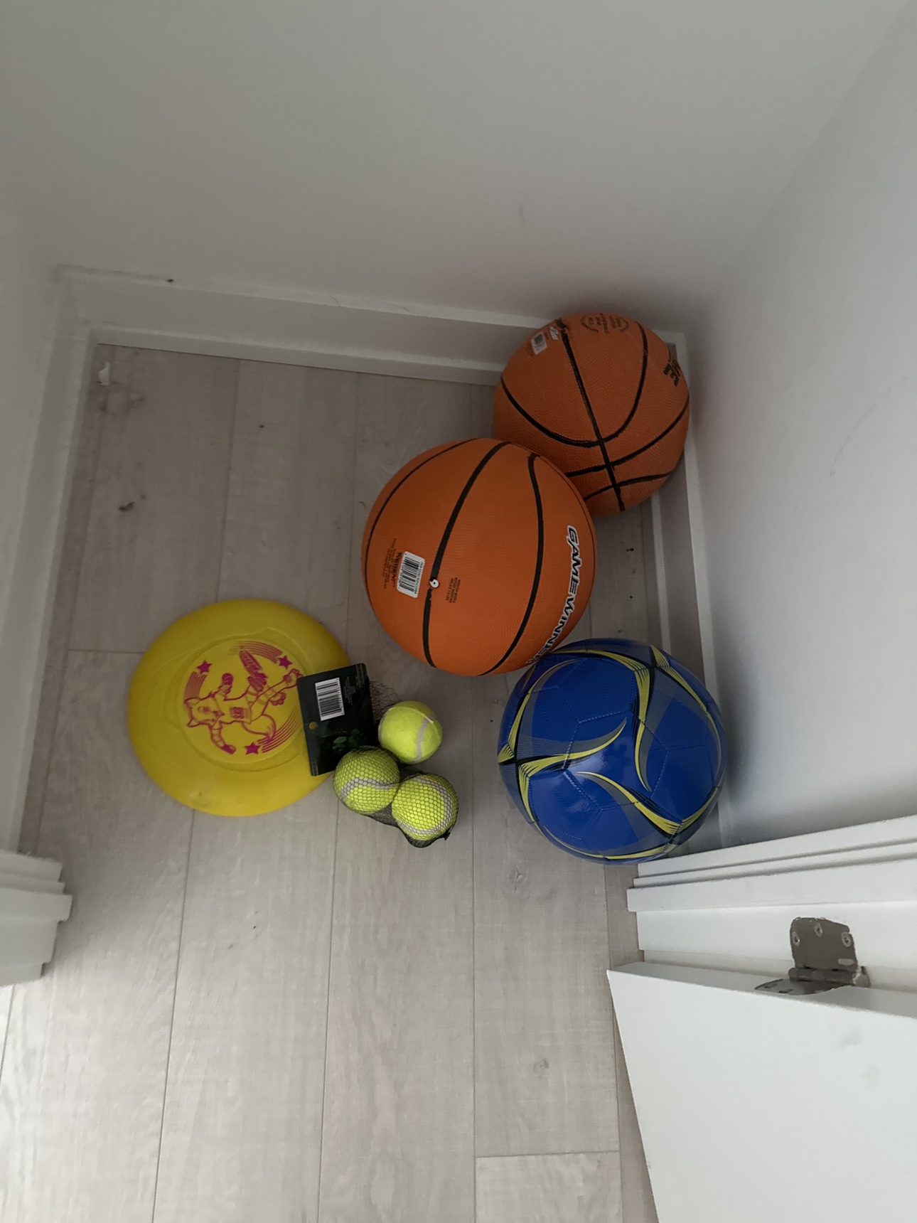 Sports balls set