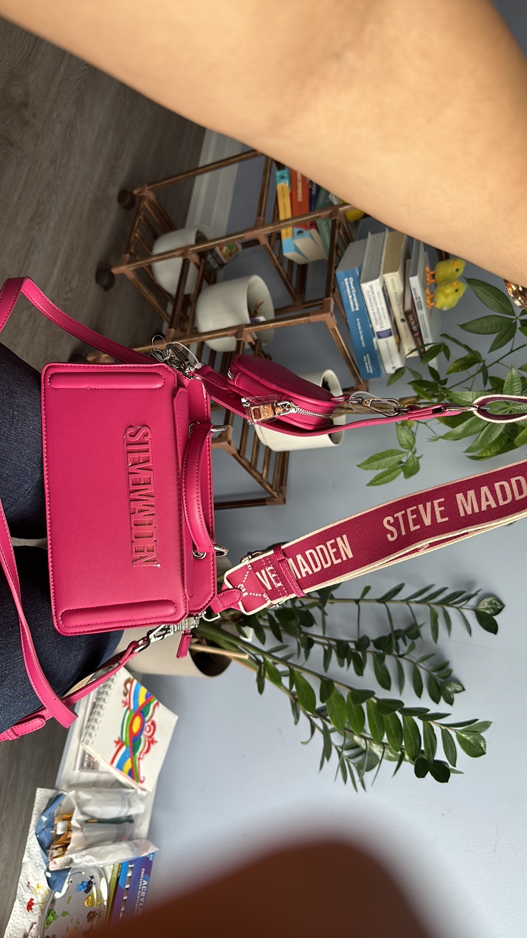 Brand new Steve Madden and Karl lagerfed Bags