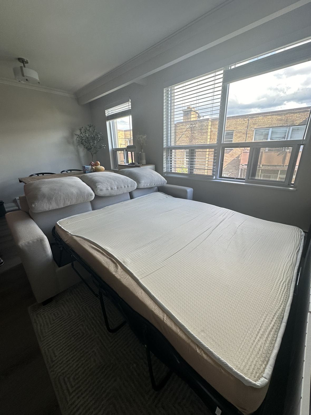 Customized Sofa with Pull-Out Queen Size Bed - photo 2