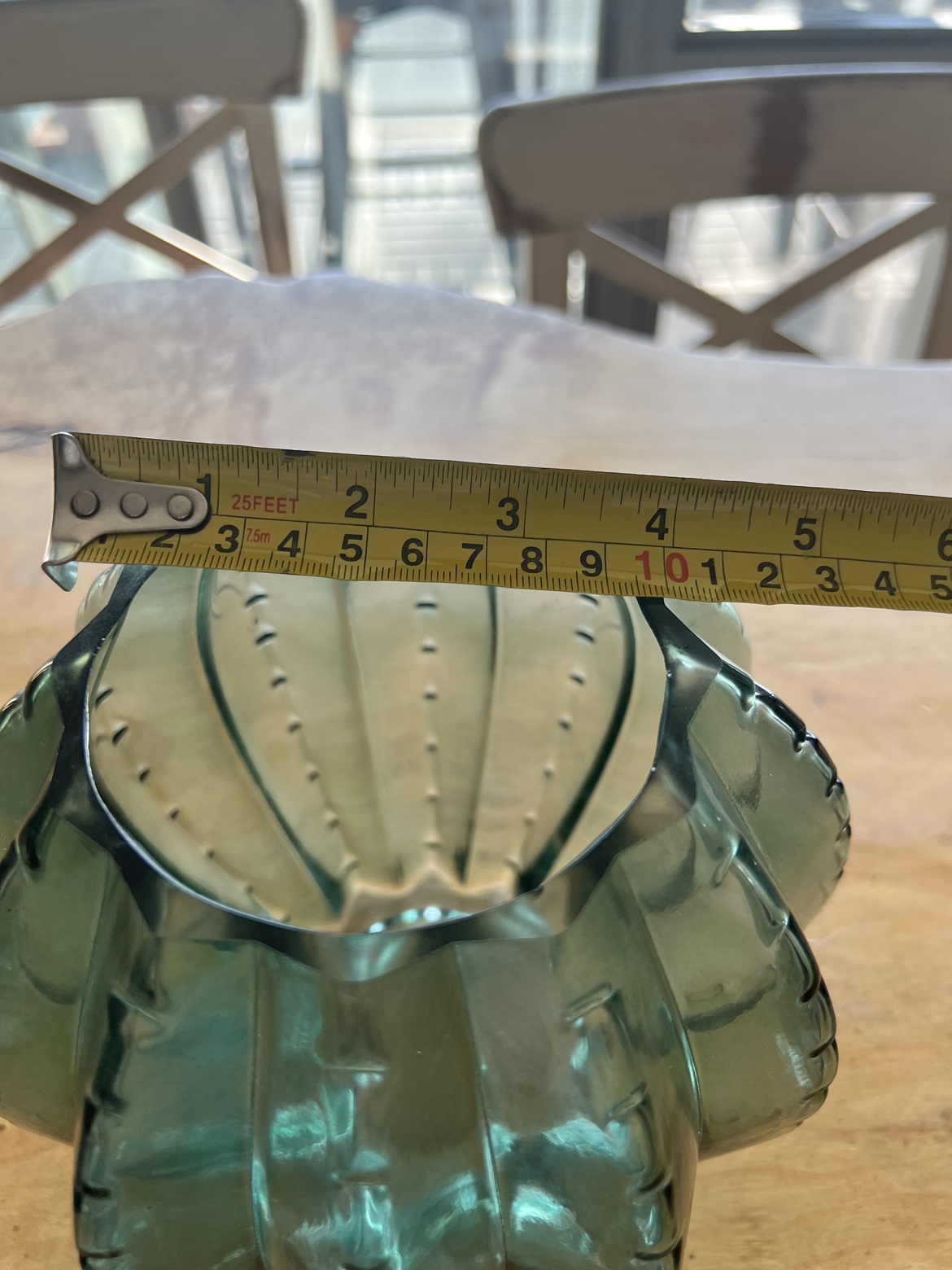 Cute Cactus glass flower pot image indicator(2)