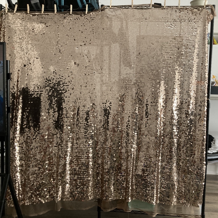 Sequin champagne/silver