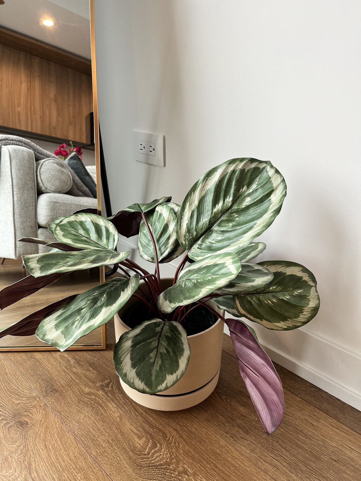 CB2 Faux Plant with Lulu and Georgia Ceramic Planter