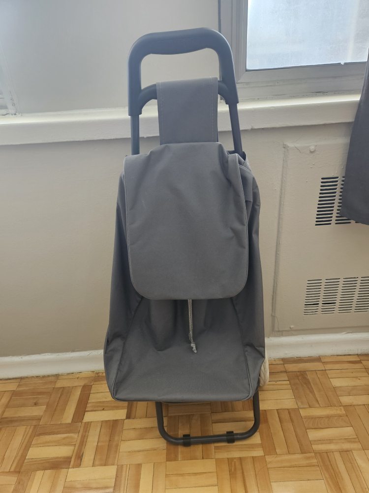 Mainstays shopping cart