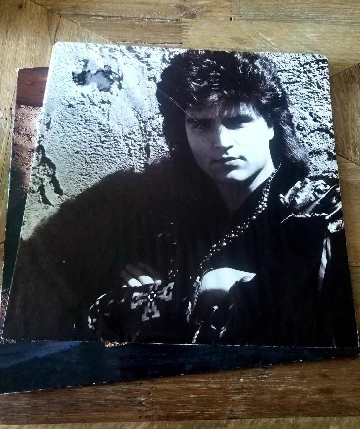 Richard Marx - Repeat Offender 90s Record Album - Vintage 12" image indicator(4)