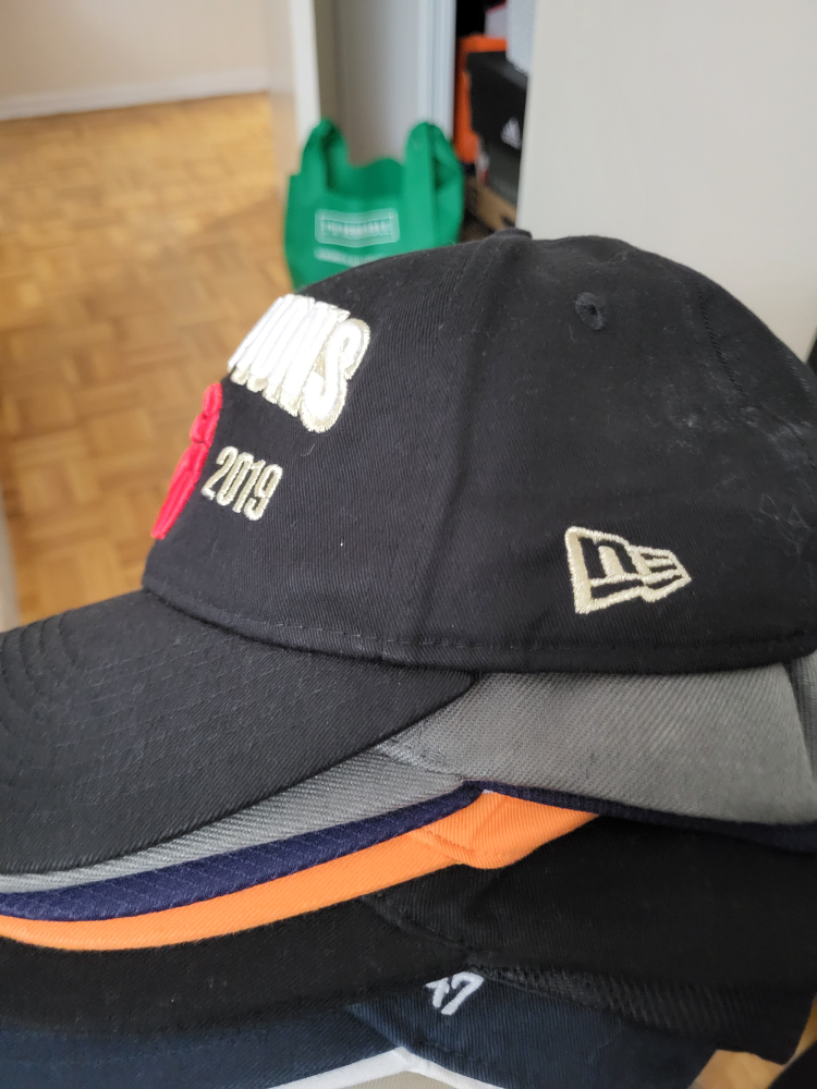 Raptors 2019 champion finals cap image indicator(2)