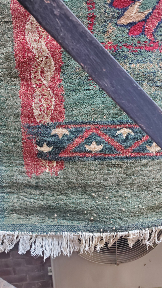 Area Rug 5×8 40 square  foot - photo 3