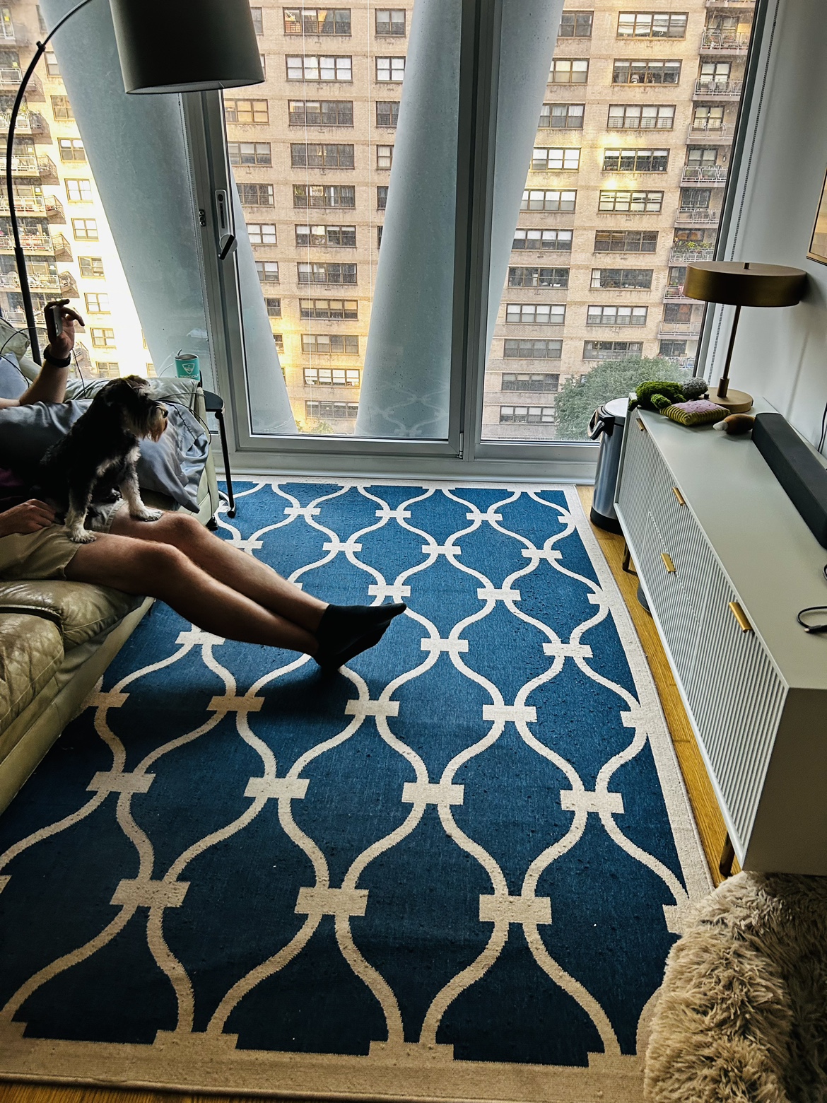 Living room rug