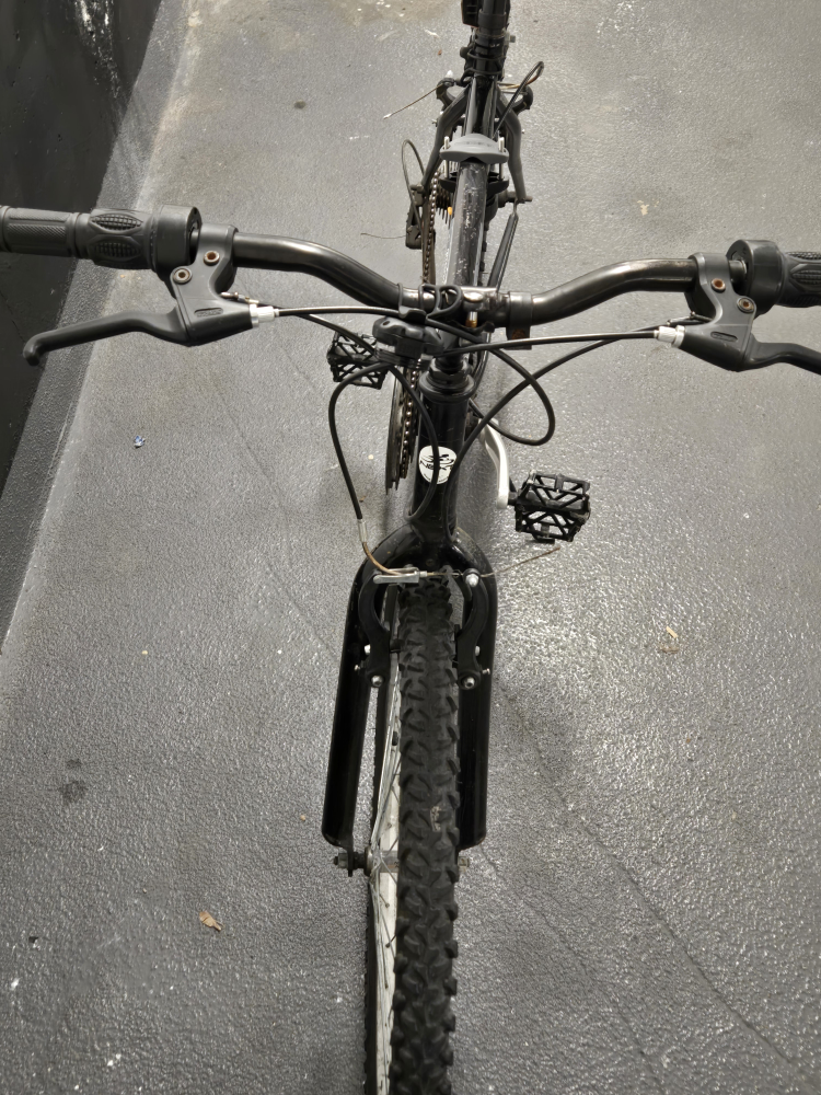 adult bick - photo 2
