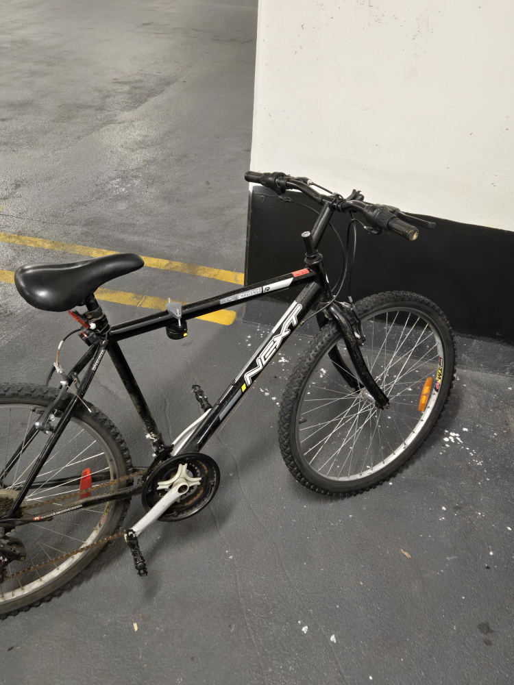 adult bick image indicator(4)