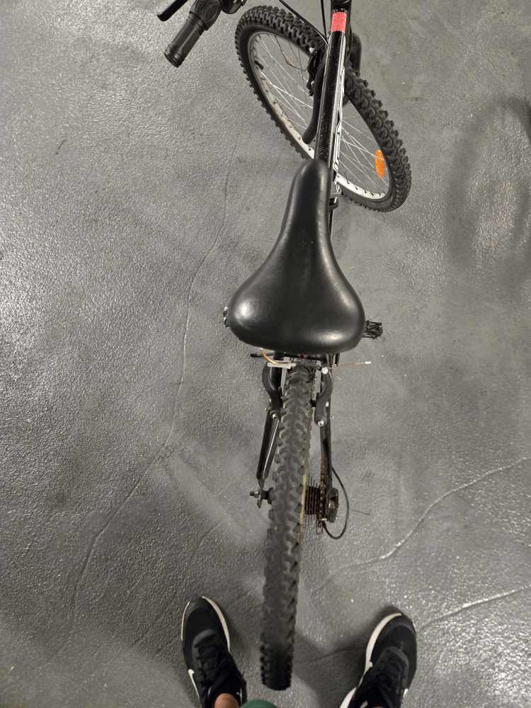 adult bick - photo 5