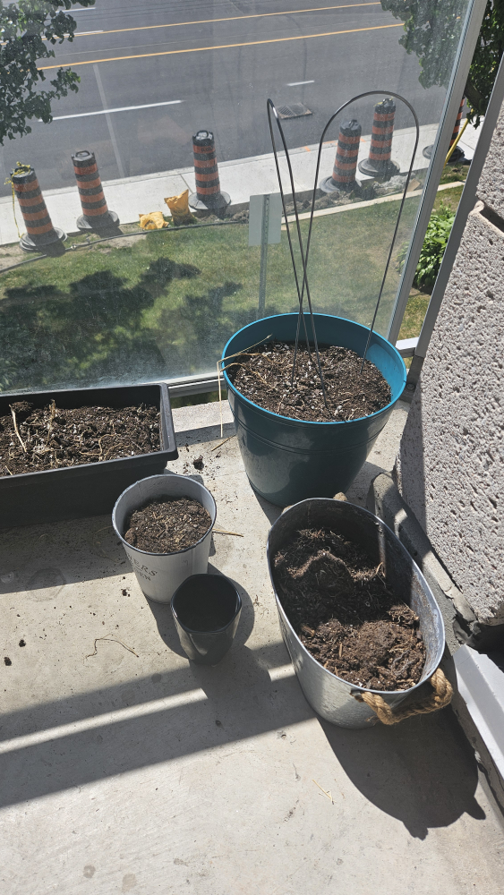 Garden Pots with Soil image indicator(2)
