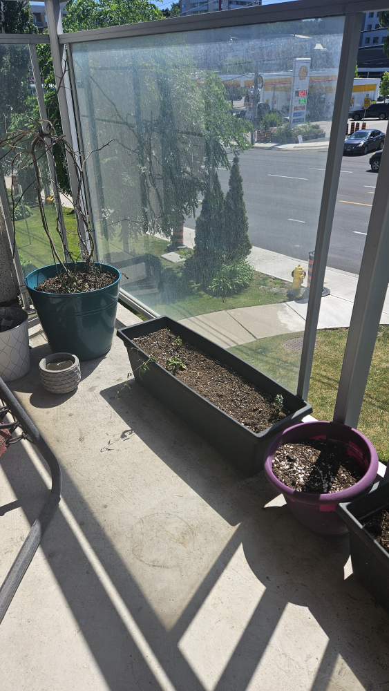 Garden Pots with Soil image indicator(4)