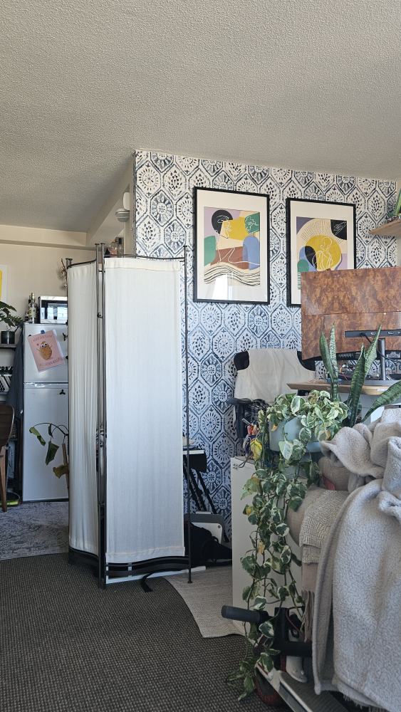 room divider - photo 3