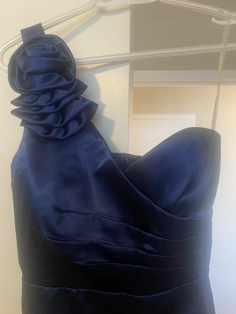 Evening dress image indicator(2)