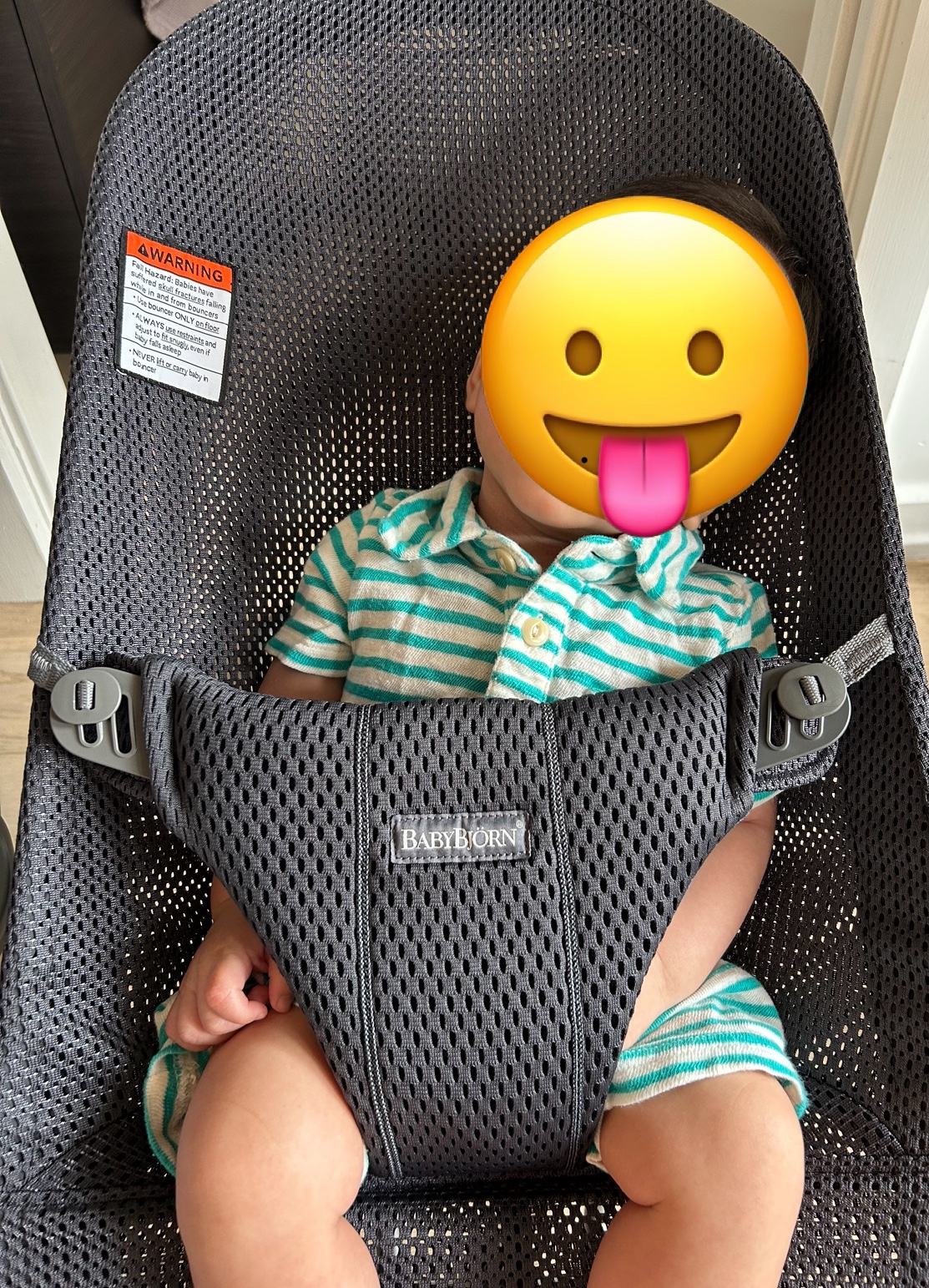 Baby Bjorn Bouncer Bliss - photo 3