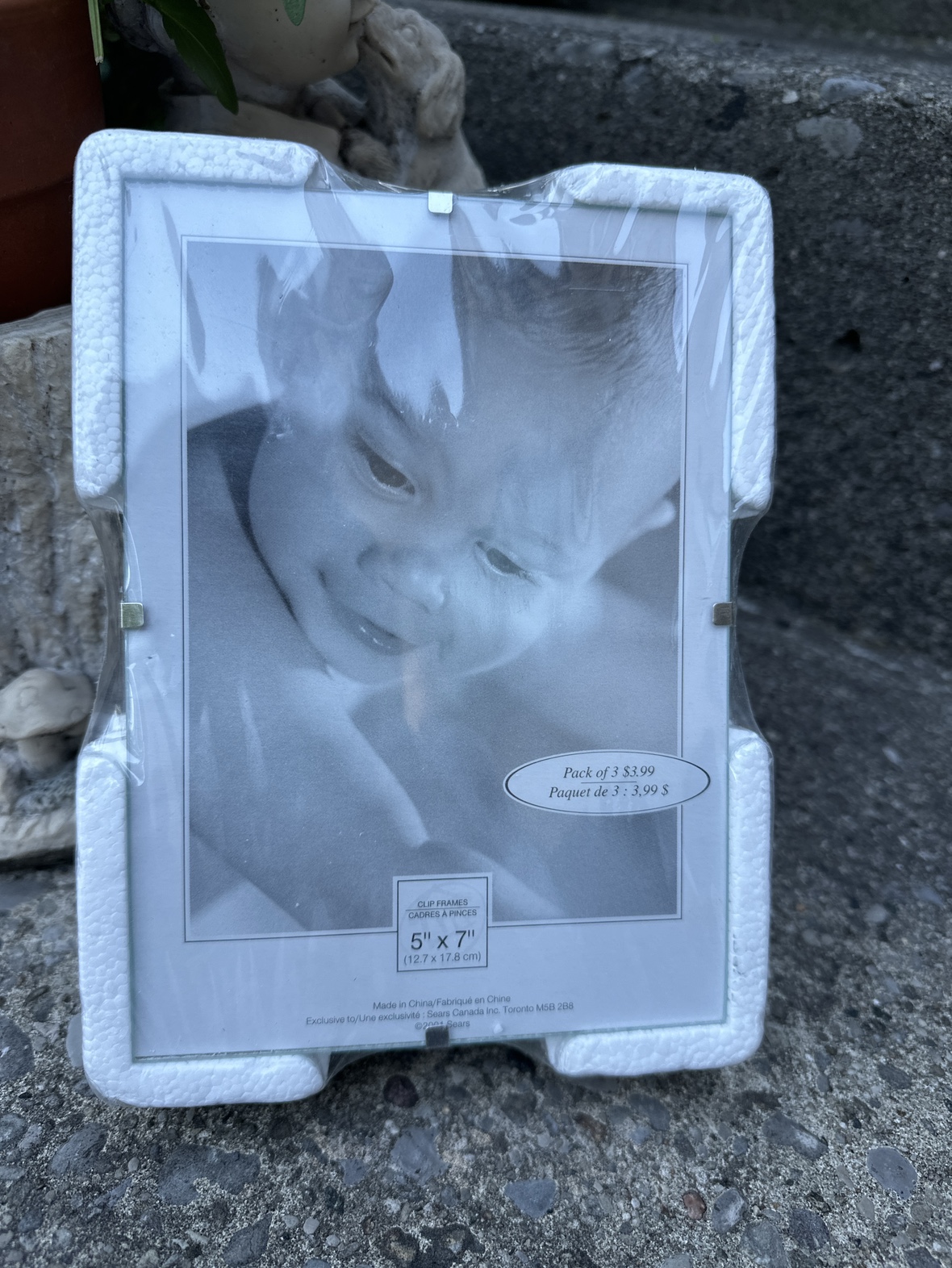 # free-cycle glass photo frames image indicator(2)