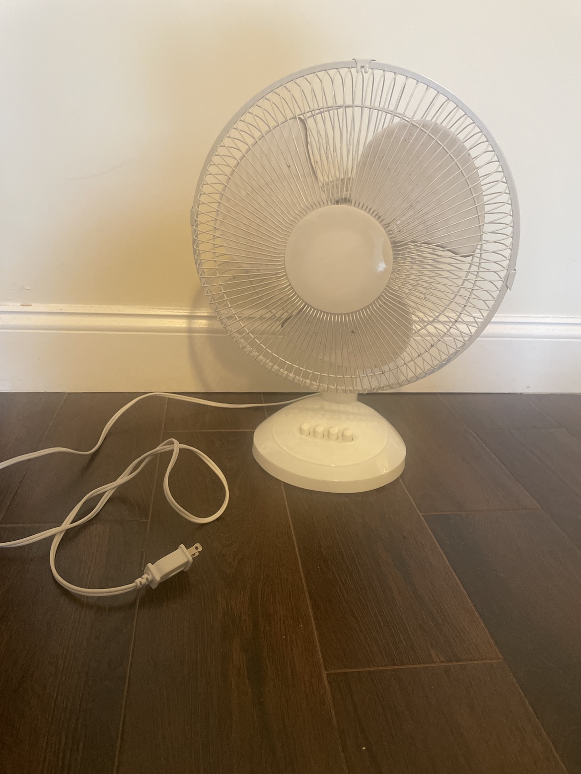 Small Fan thumbnail