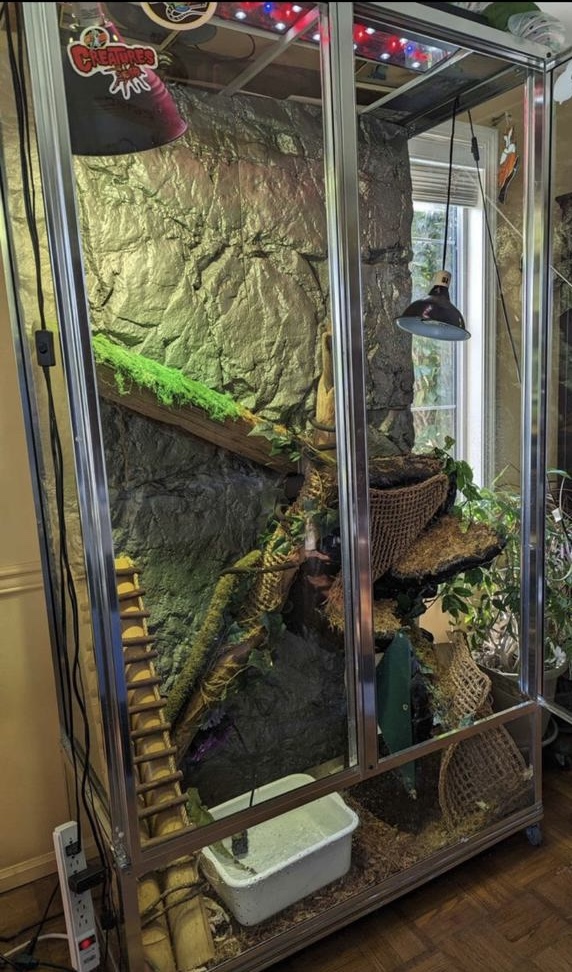 Large reptile enclosure