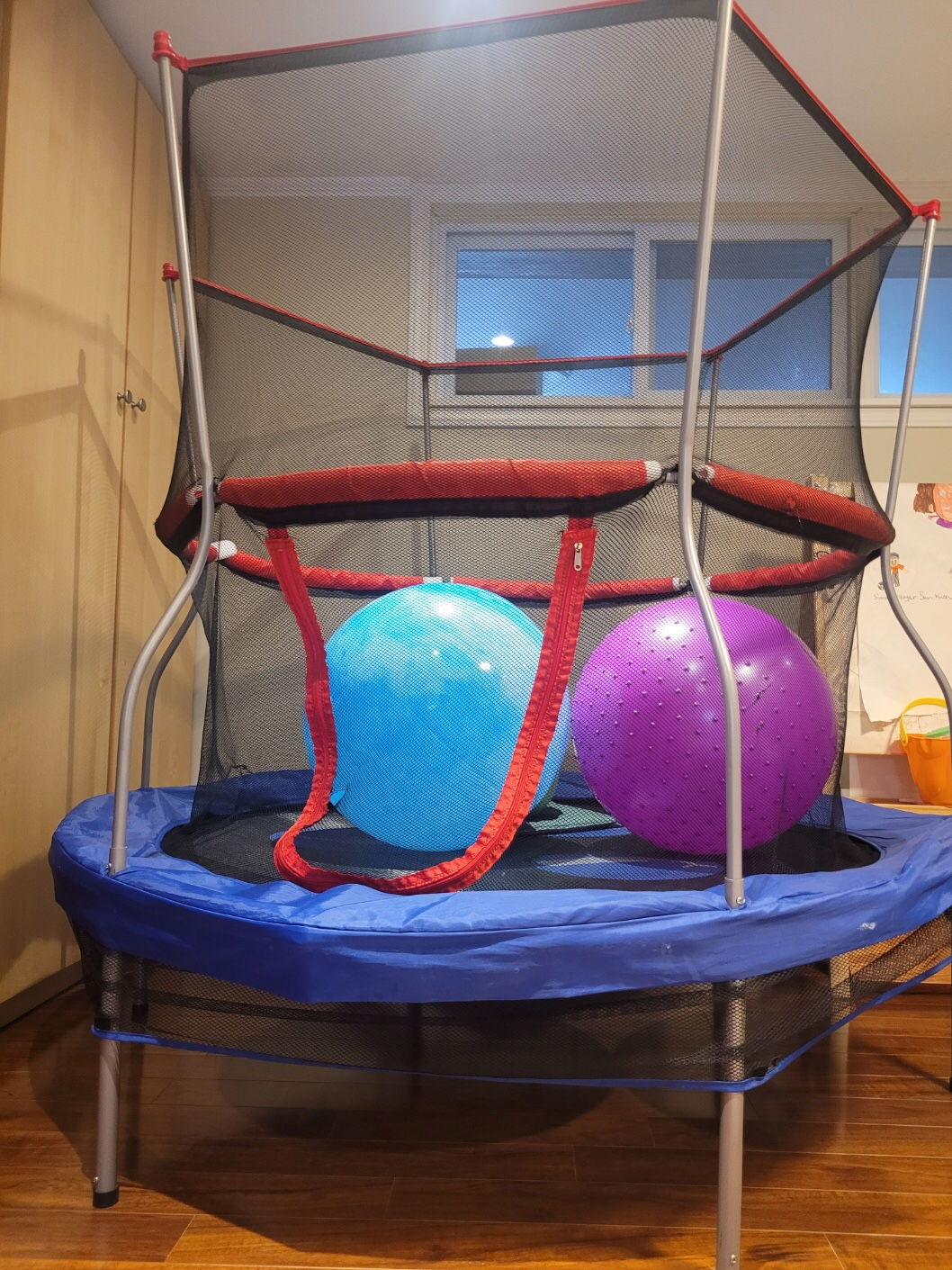 trampoline - photo 2