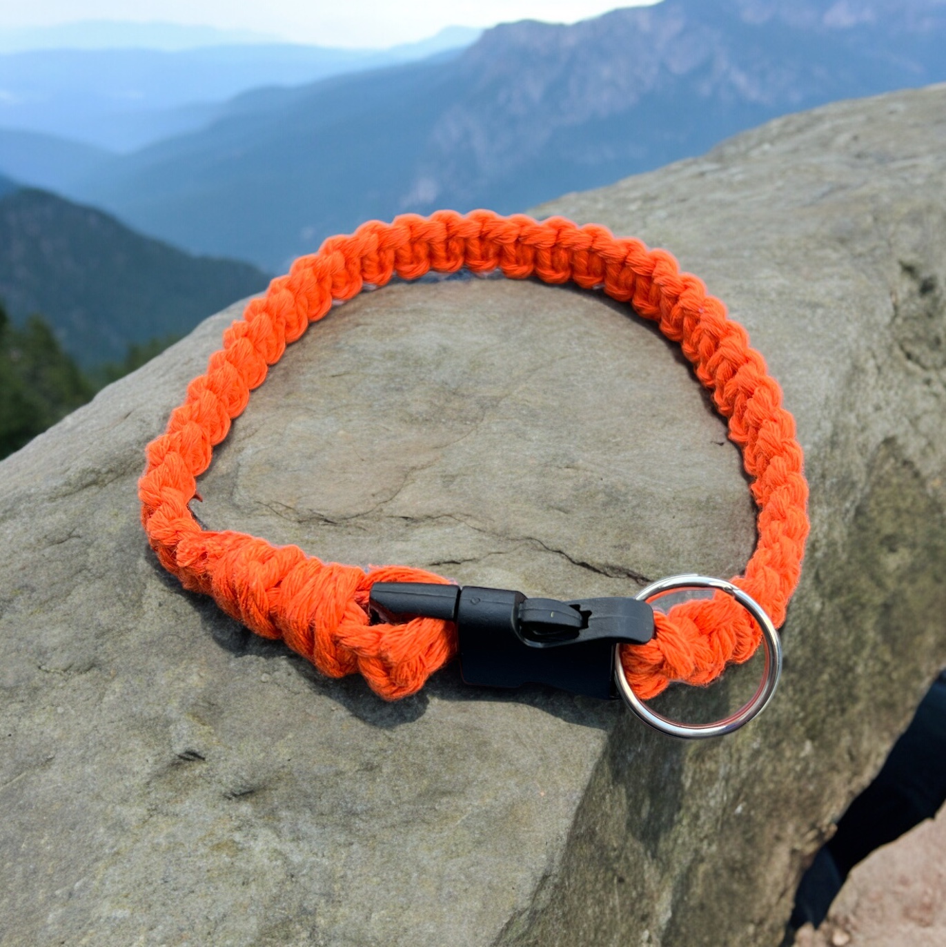 Pets collar