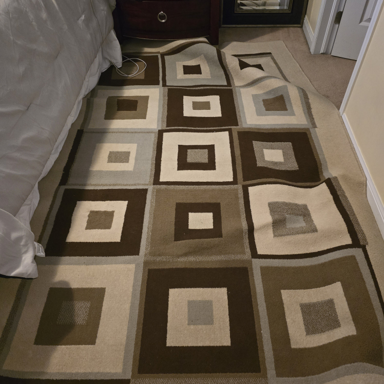 Free 5x7 Area Rug