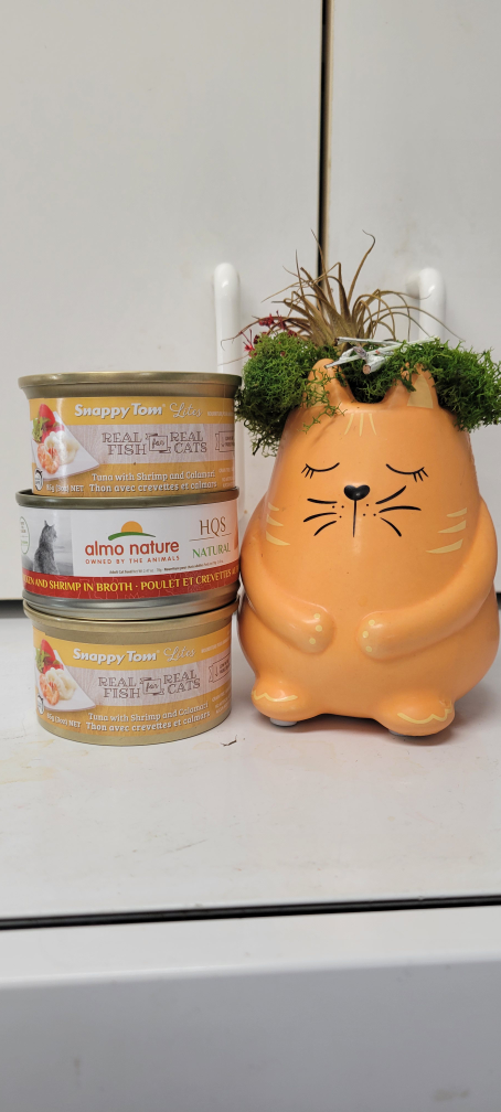 Cat food 🧡 #Freecycle thumbnail
