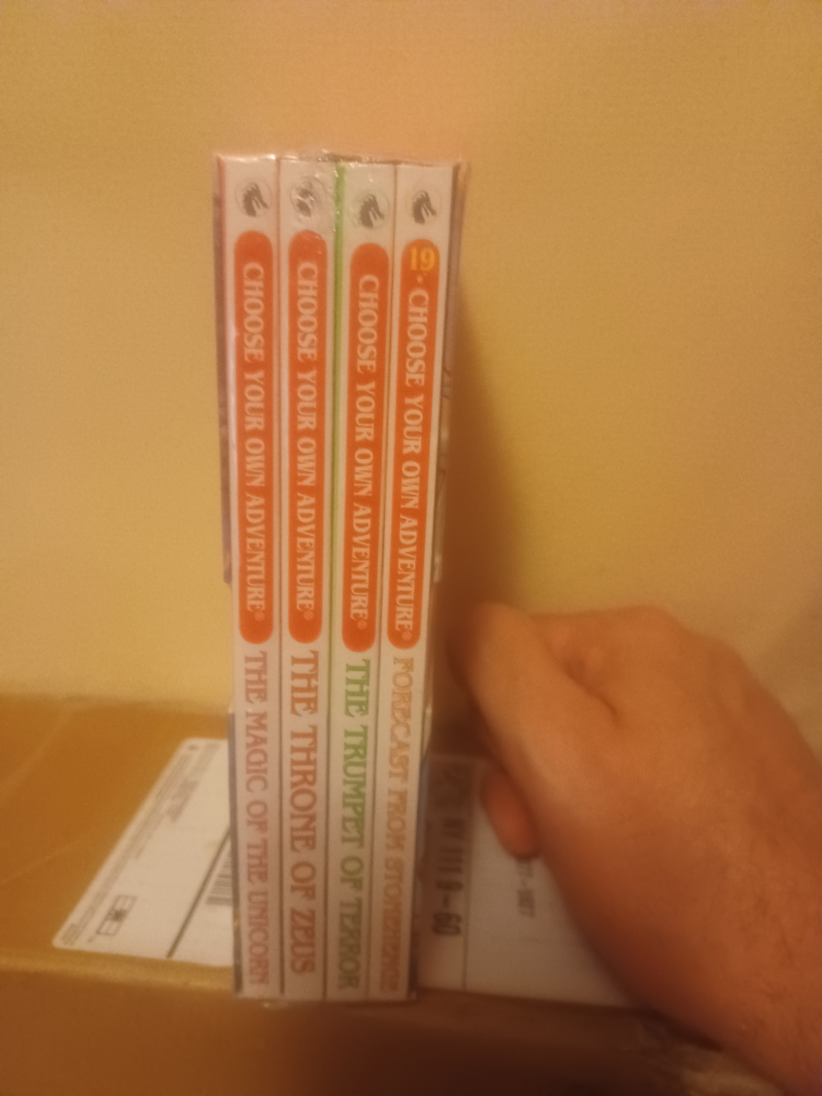 Choose Your Own Adventure Book Sets-new image indicator(7)