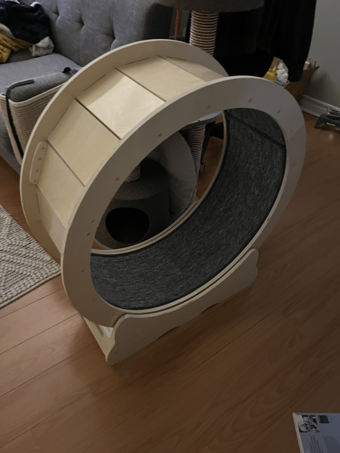Cat wheel / cat treadmill thumbnail