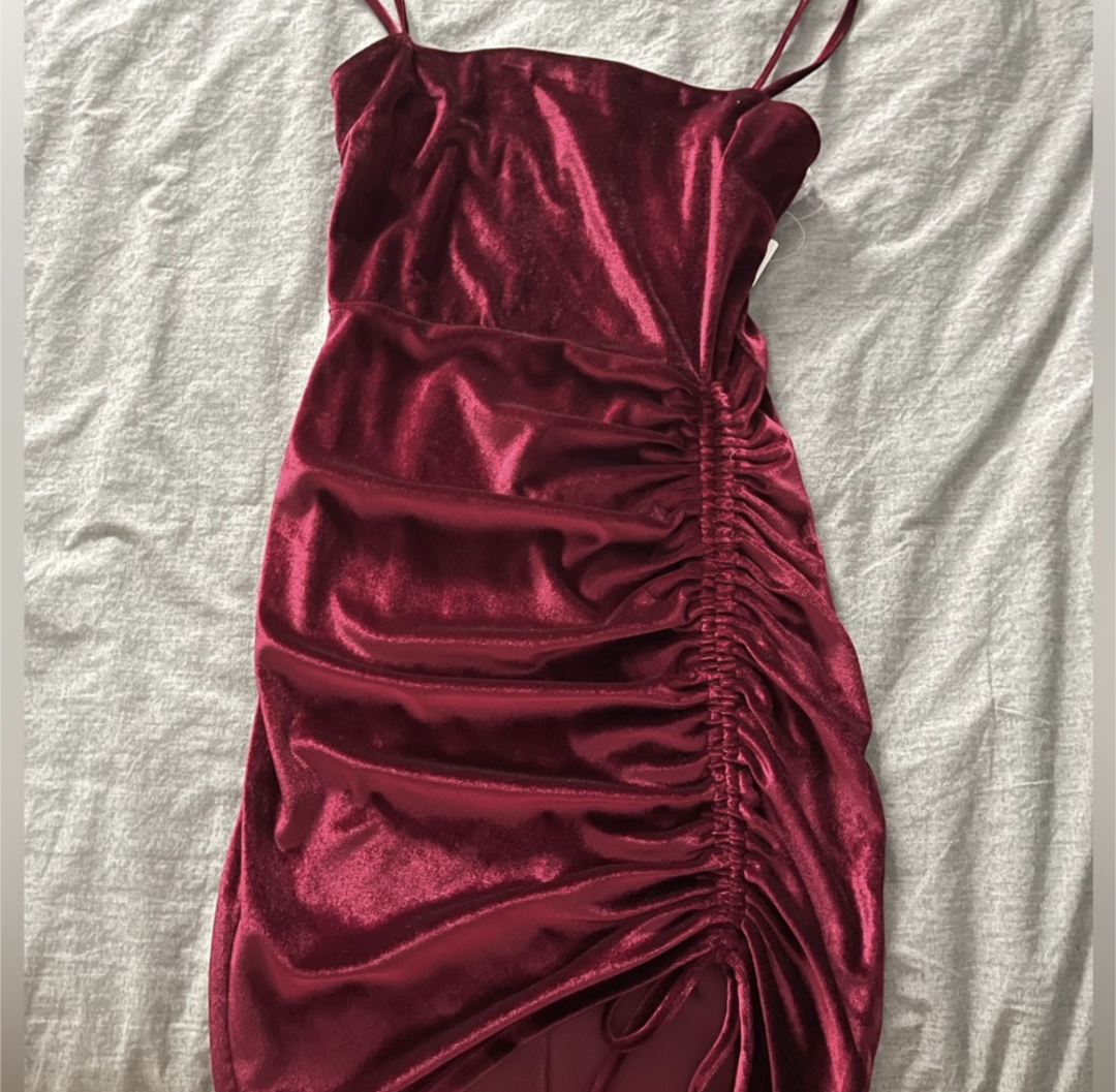 NWT Red Velvet Dress by Windsor (medium) image indicator(2)