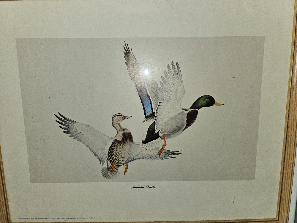 Glen Loates Vintage painted animal wall art work home decor image indicator(7)