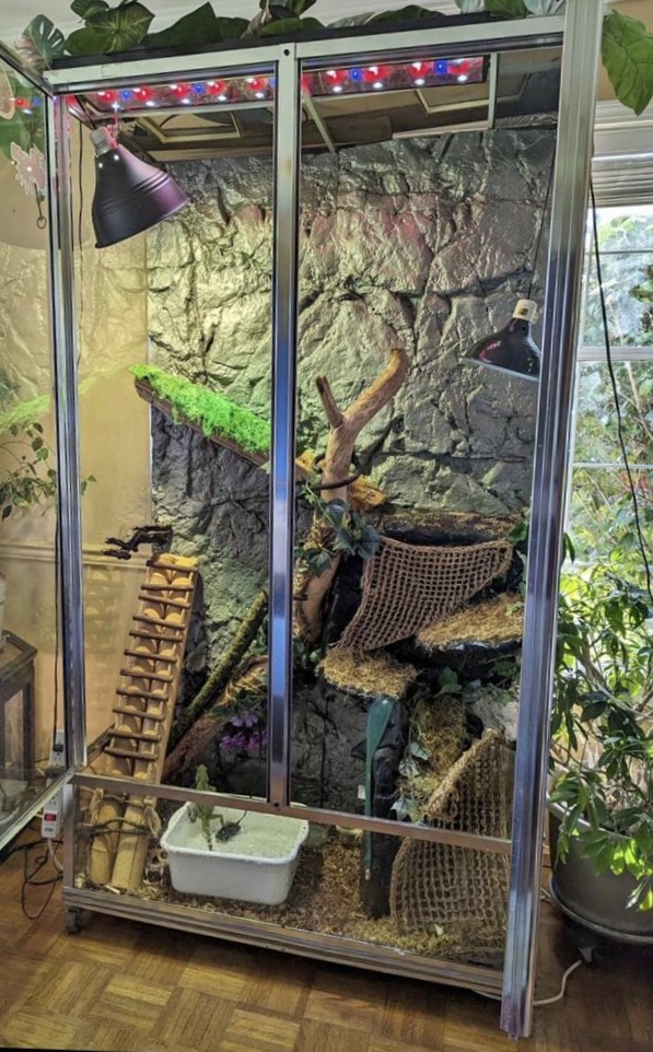 Large reptile enclosure - photo 3