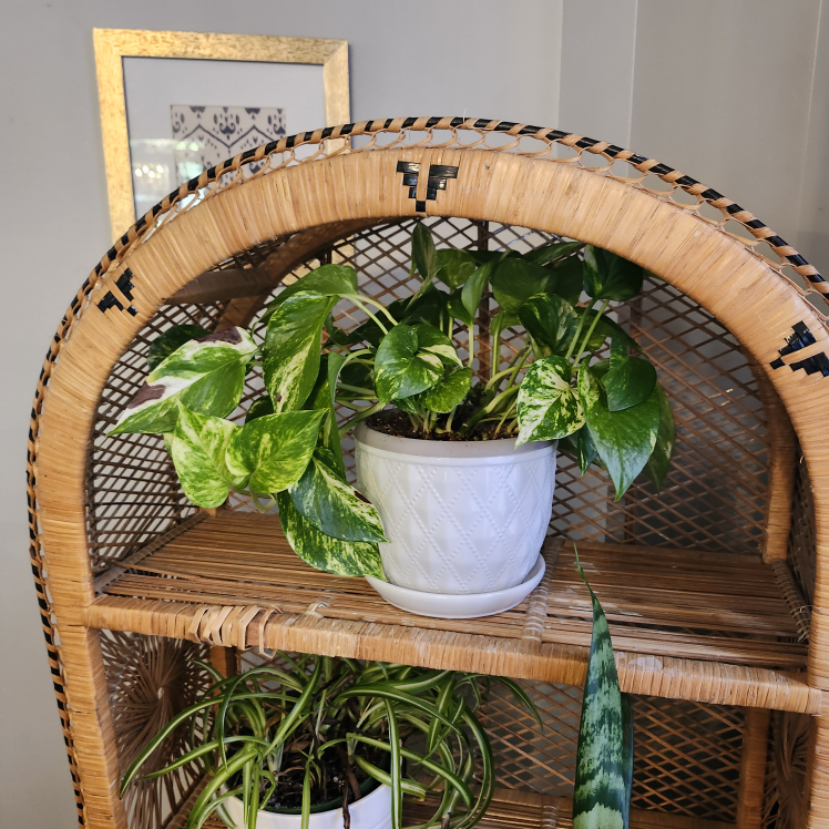 Boho vintage Peacock Shelf unit - photo 2