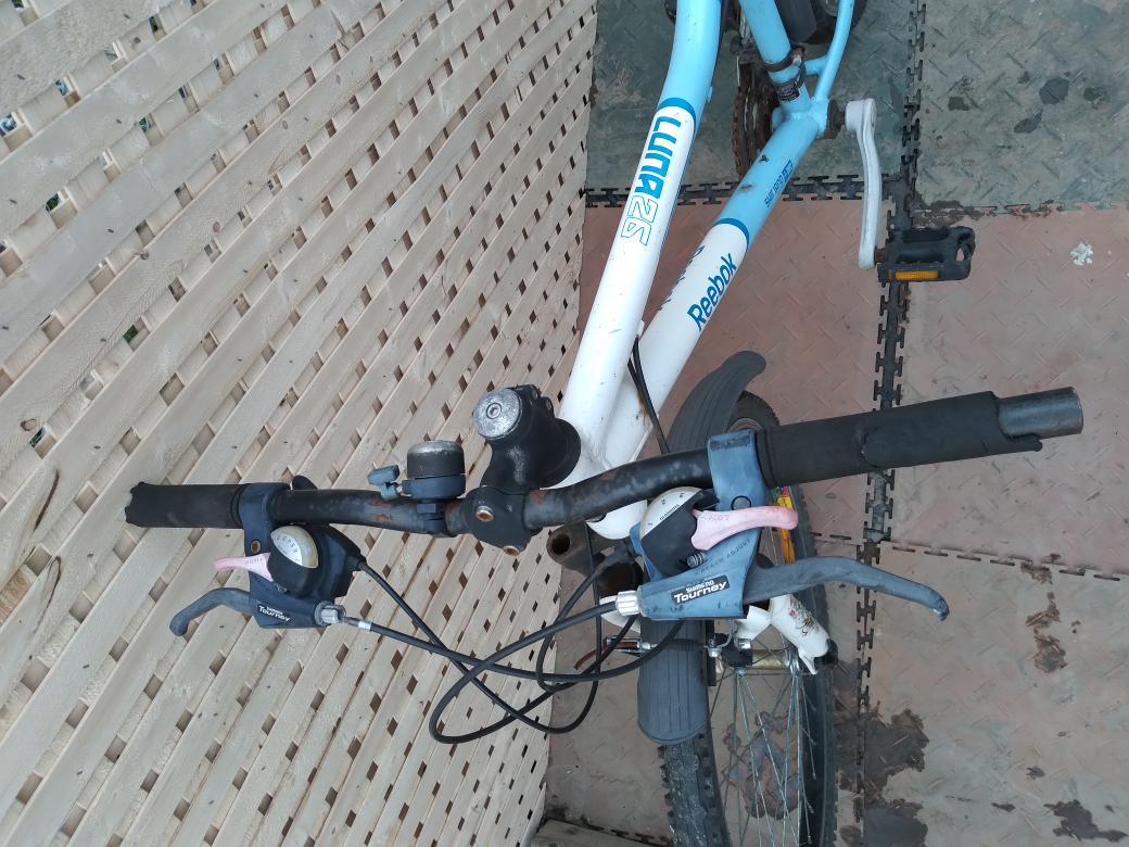 Bike for parts $10 - photo 3