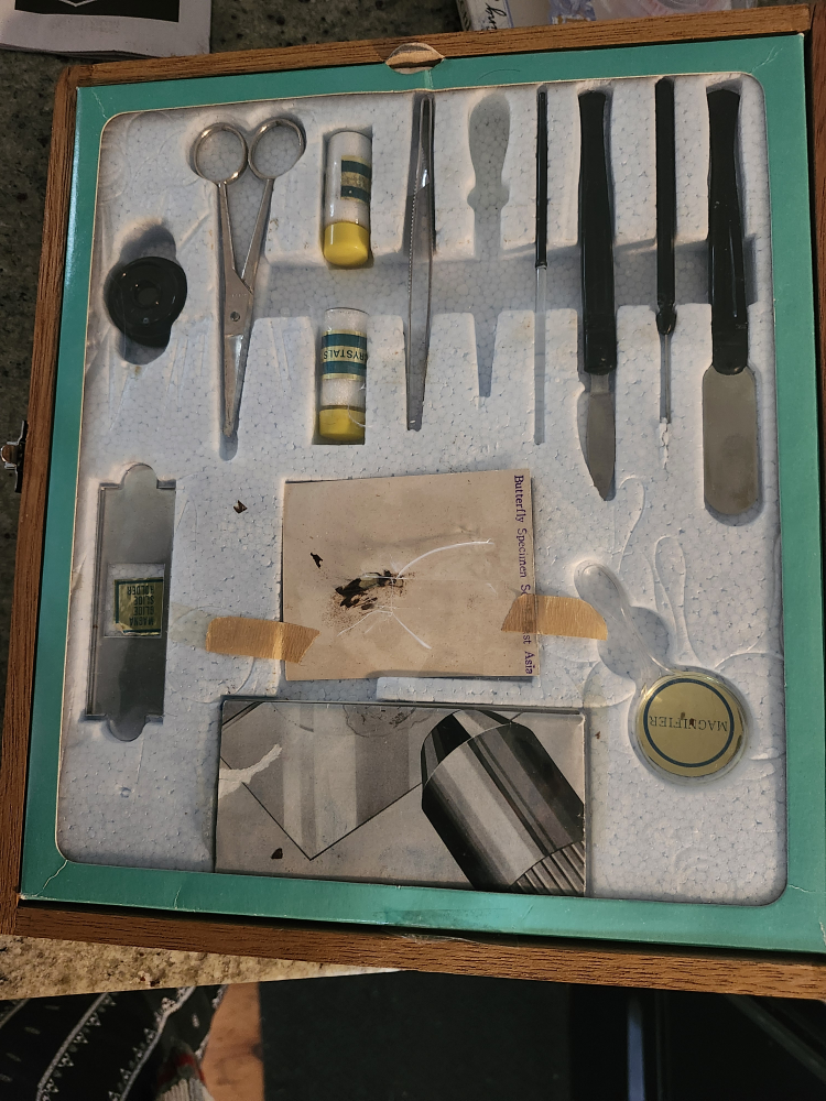 vintage microscope never used 🥕 image indicator(2)