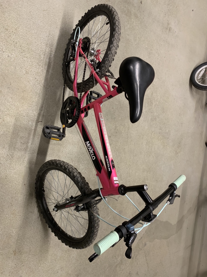 Girls bike - 20” wheels - Ages 5 to 9 - photo 5