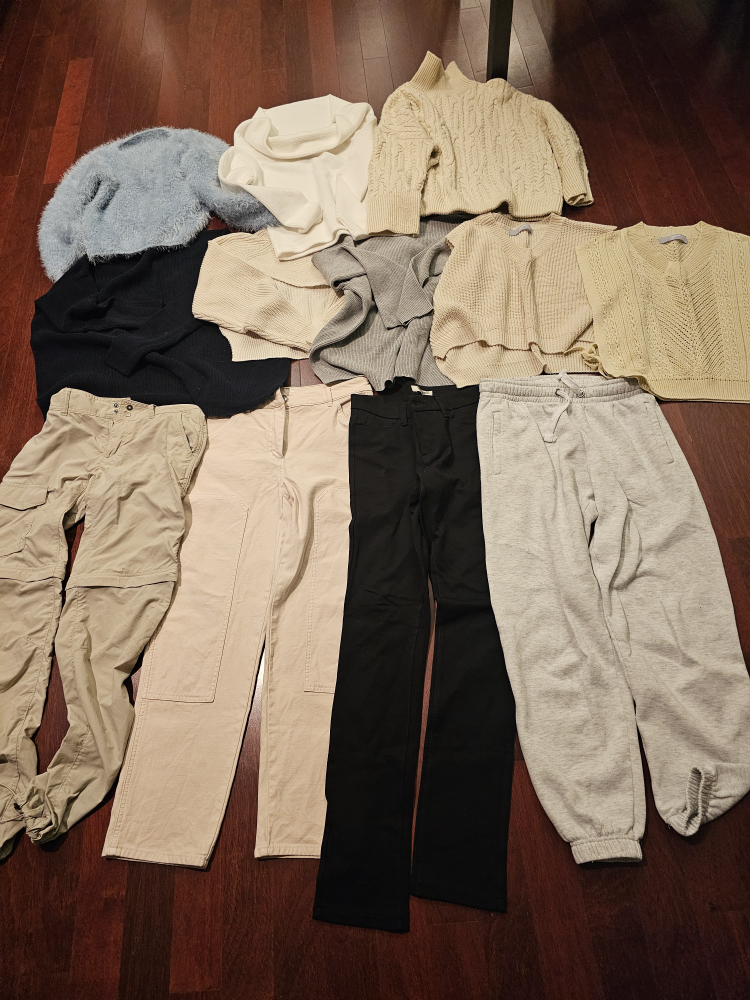 Women's pants and knits 12pcs (most NEW)