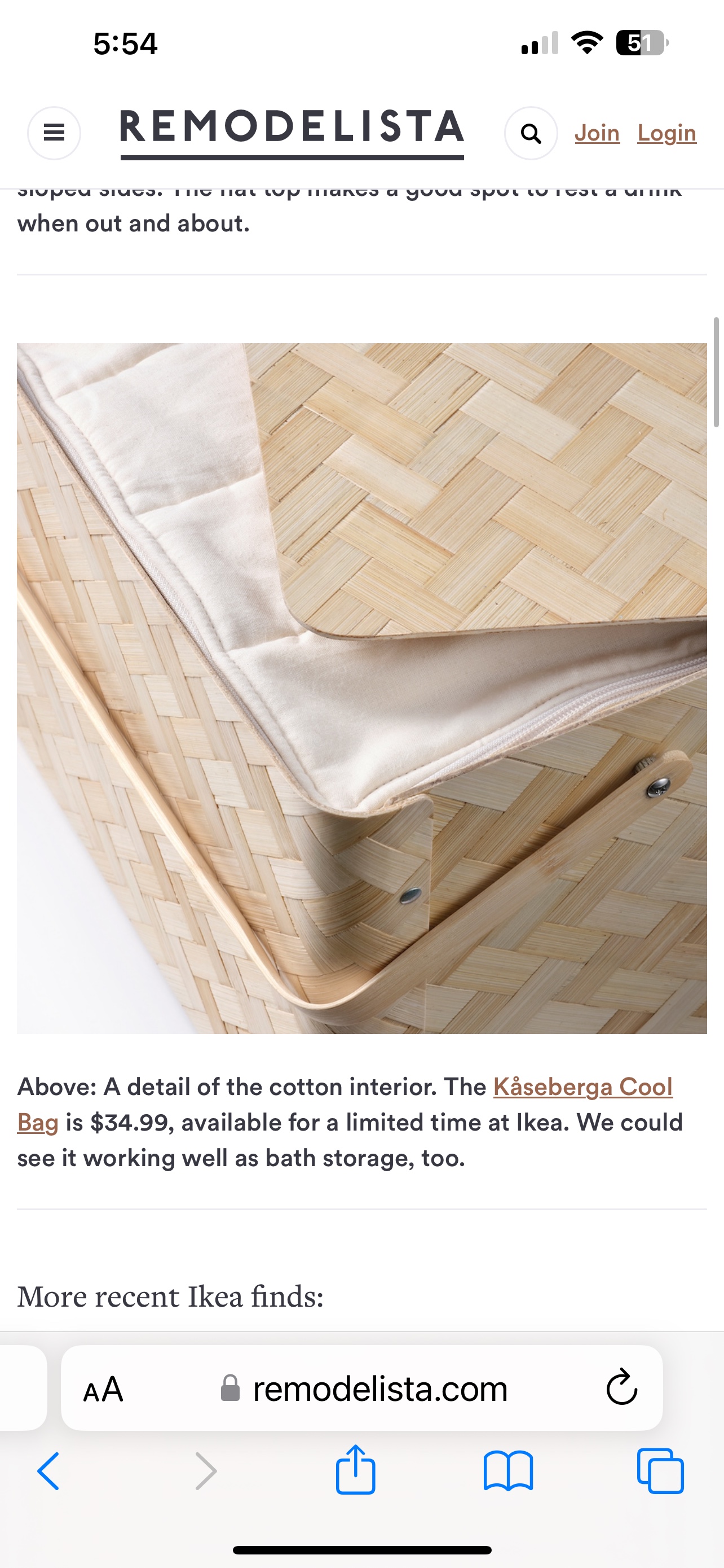 💘 IKEA Ltd Edition Bamboo Picnic Basket w/liner image indicator(6)