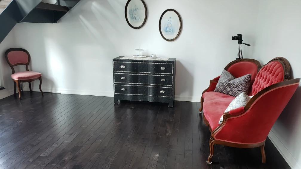 Antique love velvet sofa image indicator(4)