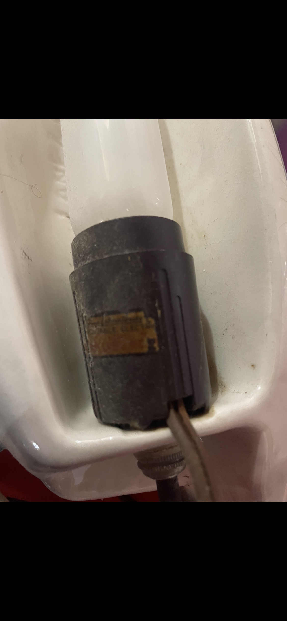 Collectable Horse Lamp image indicator(4)