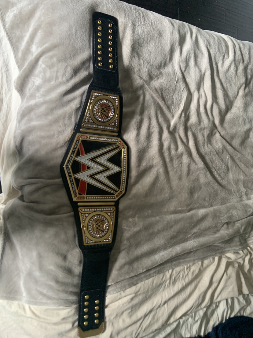 WWE World Heavyweight Champion - photo 2