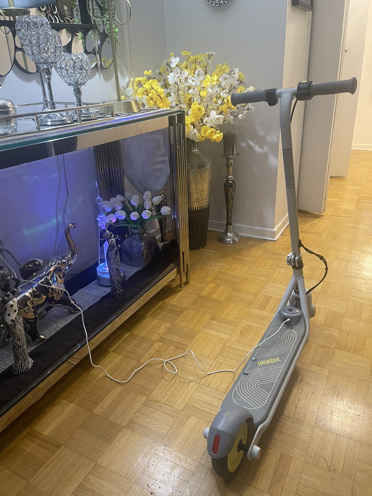 Bike electric image indicator(4)