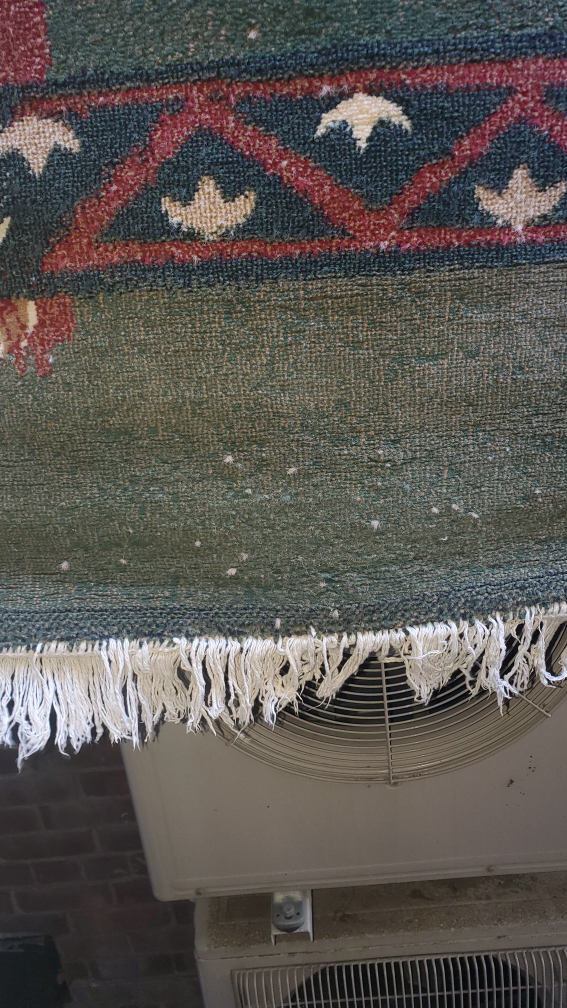 Area Rug 5×8 40 square  foot - photo 4
