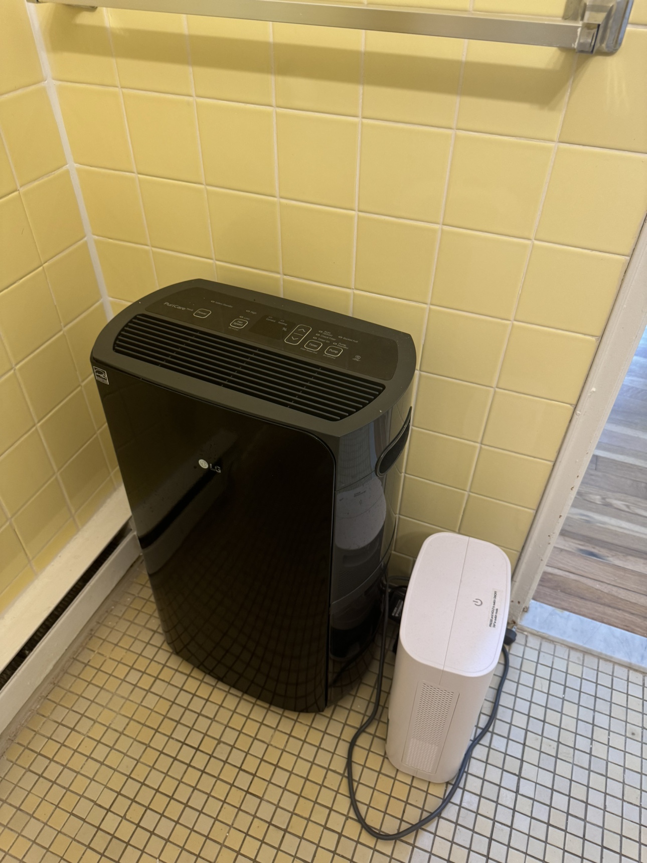 LG dehumidifier