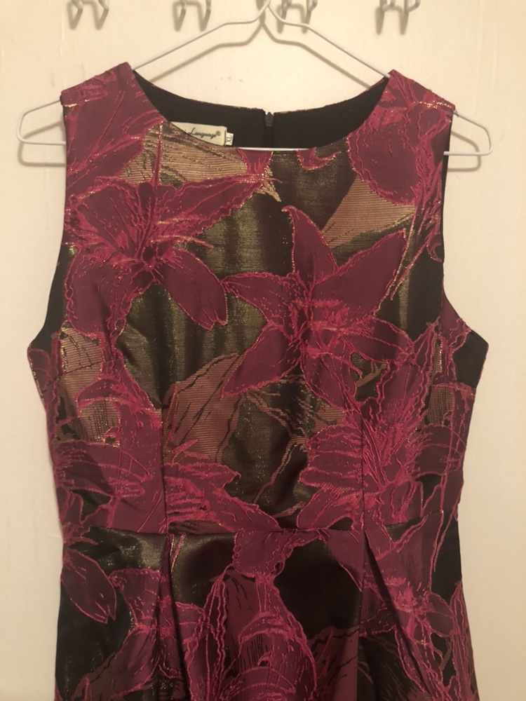 Dress image indicator(2)