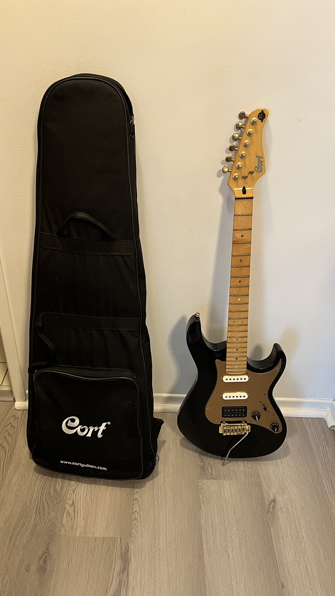 Cort G250 15th anniversary limited edition with pick-up upgrade