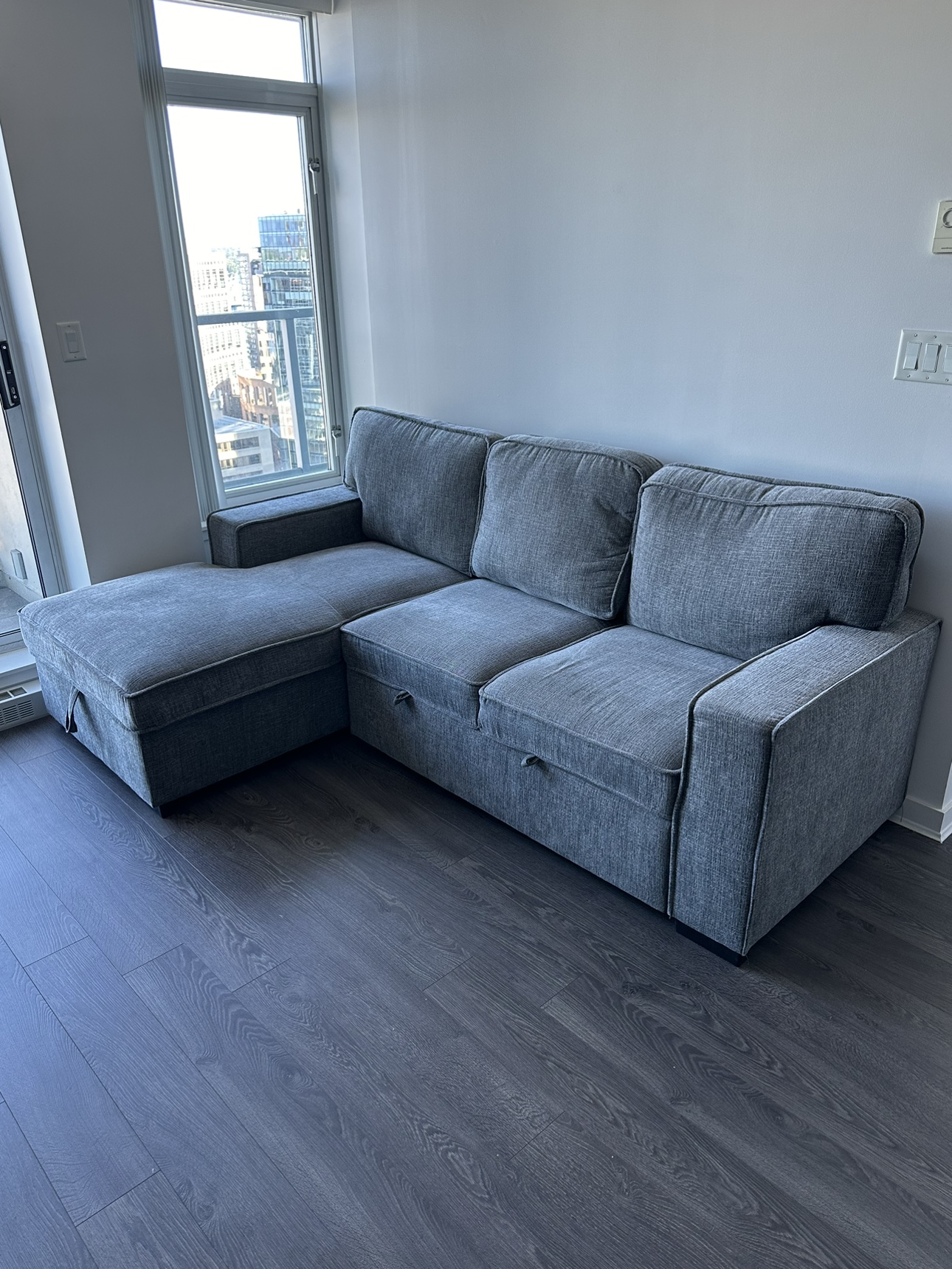 Pullout couch - CAN DELIVER JUNE 30th