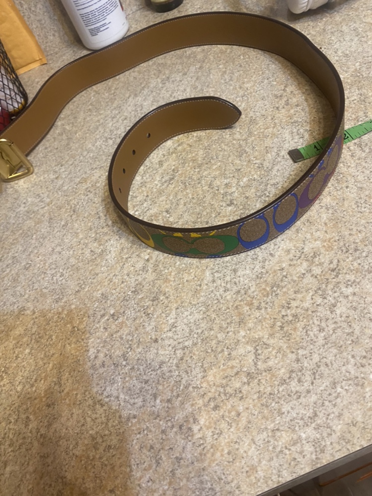 Authentic Coach pride belt unisex - photo 4